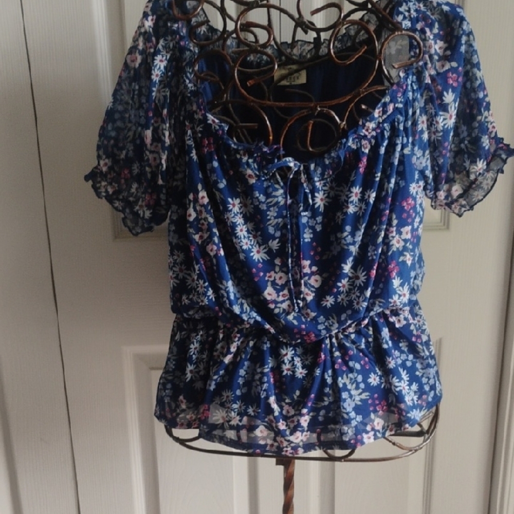 Blue and White Flutter Sleeve Ruffled Blouse